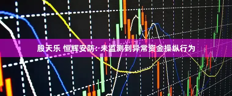 股天乐 恒辉安防: 未监测到异常资金操纵行为