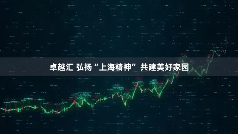 卓越汇 弘扬“上海精神” 共建美好家园
