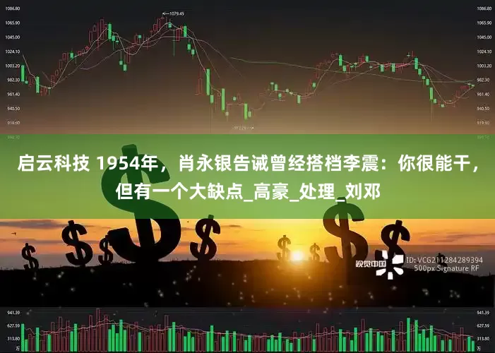 启云科技 1954年，肖永银告诫曾经搭档李震：你很能干，但有一个大缺点_高豪_处理_刘邓