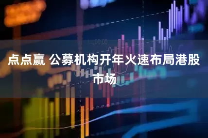 点点赢 公募机构开年火速布局港股市场