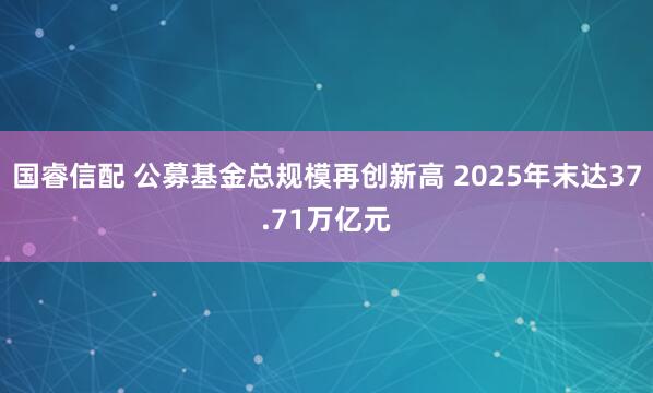 国睿信配 公募基金总规模再创新高 2025年末达37.71万亿元