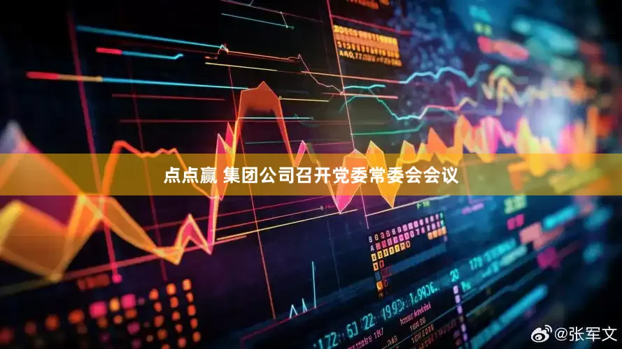 点点赢 集团公司召开党委常委会会议