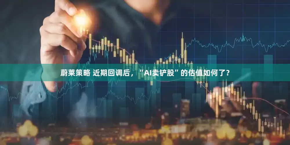 蔚莱策略 近期回调后，“AI卖铲股”的估值如何了？