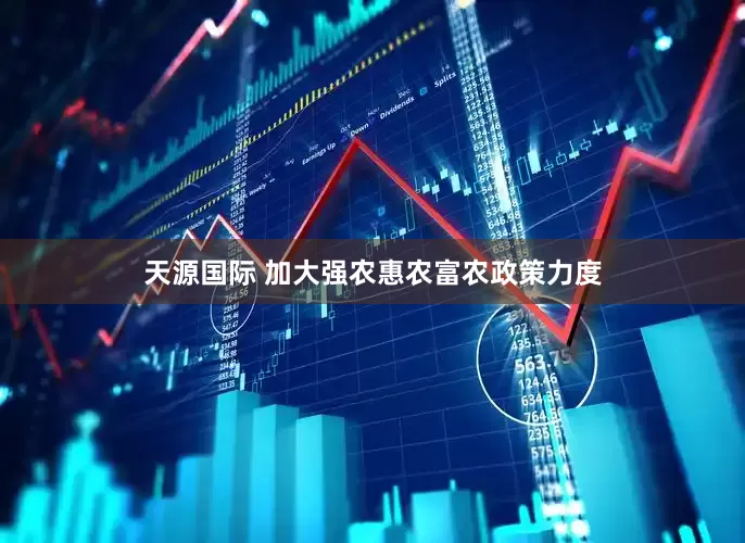 天源国际 加大强农惠农富农政策力度